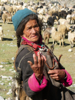 Zanskar02_213.JPG (579776 octets)